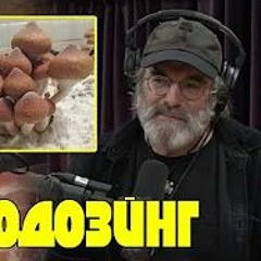 ГРИБИ І МІКРОДОЗИНГ. Пол Стемец- Подкаст Джо Рогана - - Грибы И Микродозинг