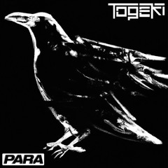 Togeki - Accelerate (PARA002)