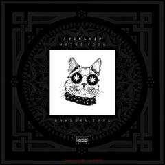 Maine Coon - SKINSHIP (Original Mix)