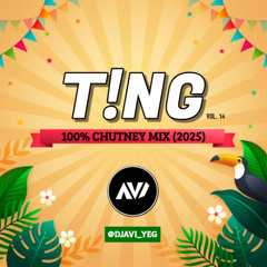 T!NG VOL. 14: 100% CHUTNEY MIX (2025)