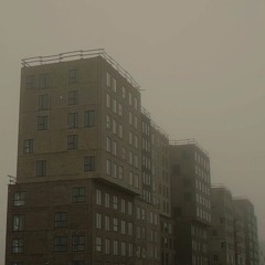 бычки в томате
