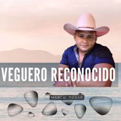 Mi peticion