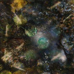 Ferndell Shade