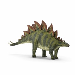 Rugido Gruñido De Stegosaurus