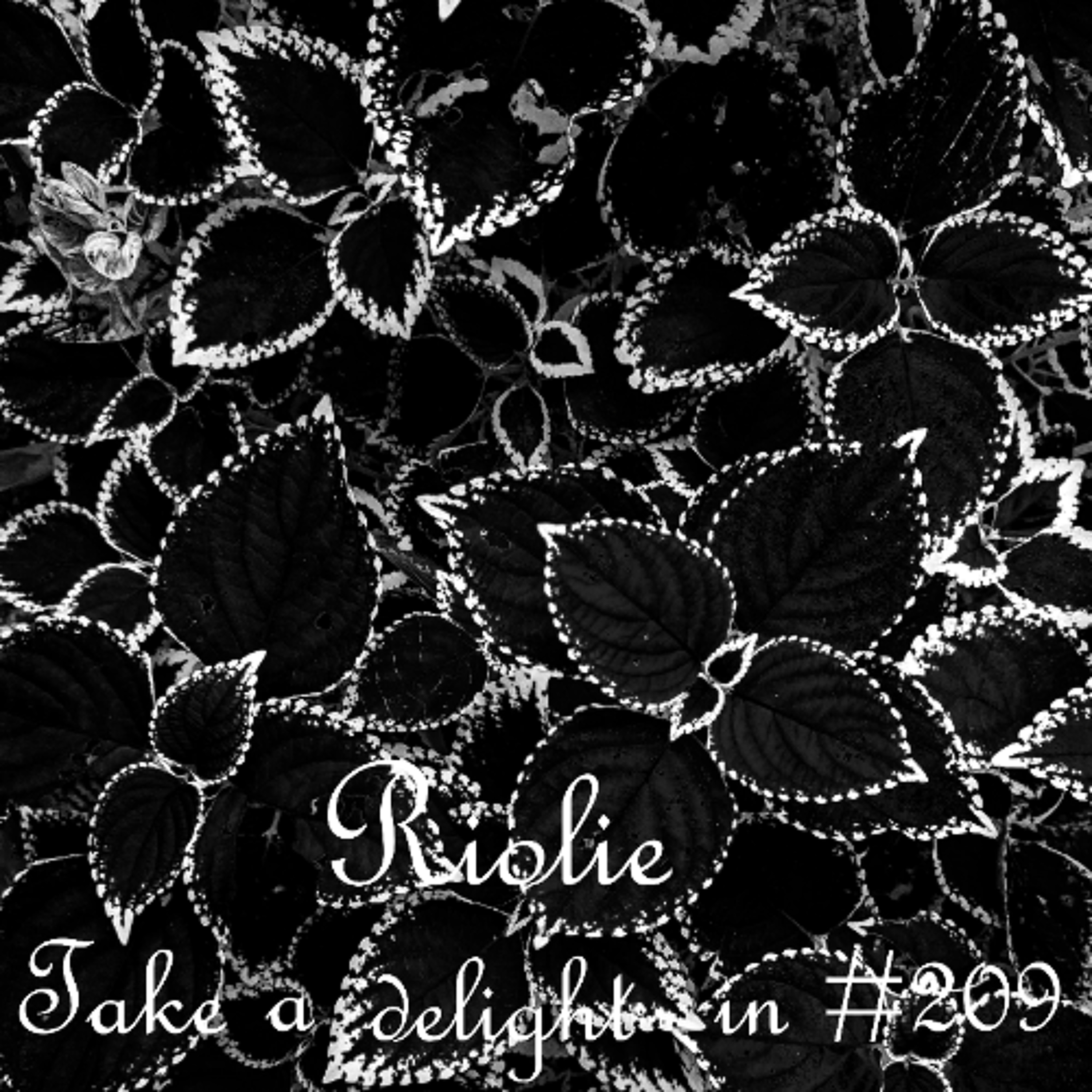 Take a delight in