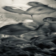 Atmosphere #3