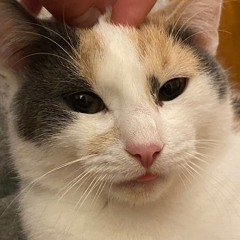 me when the (extended)