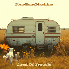 Tired Of Trouble