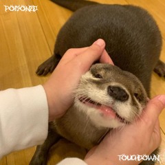 TOUCHDOWN w/ TNT SLINKY, ZUKI x ACZF [ZEMAR x T.J.R.]