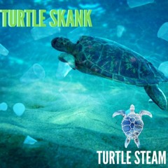 Turtle Skank