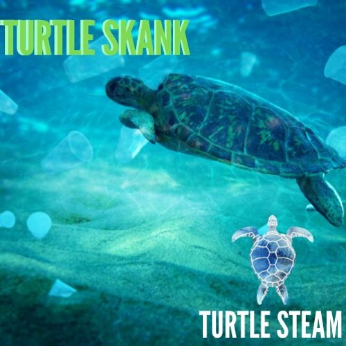 Turtle Skank
