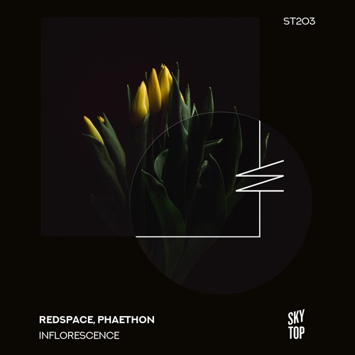 Redspace, Phaéthon - Inflorescence [SkyTop]