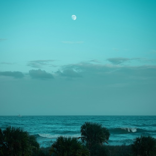 FAZT LANE - SILVER SKY