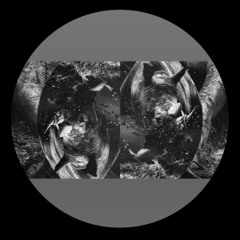 PREMIERE: Joton - Dark Circuitry [Illegal Alien]