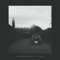 La Sombra de lo Bello