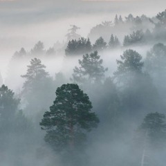 Downtempo & Future Garage list
