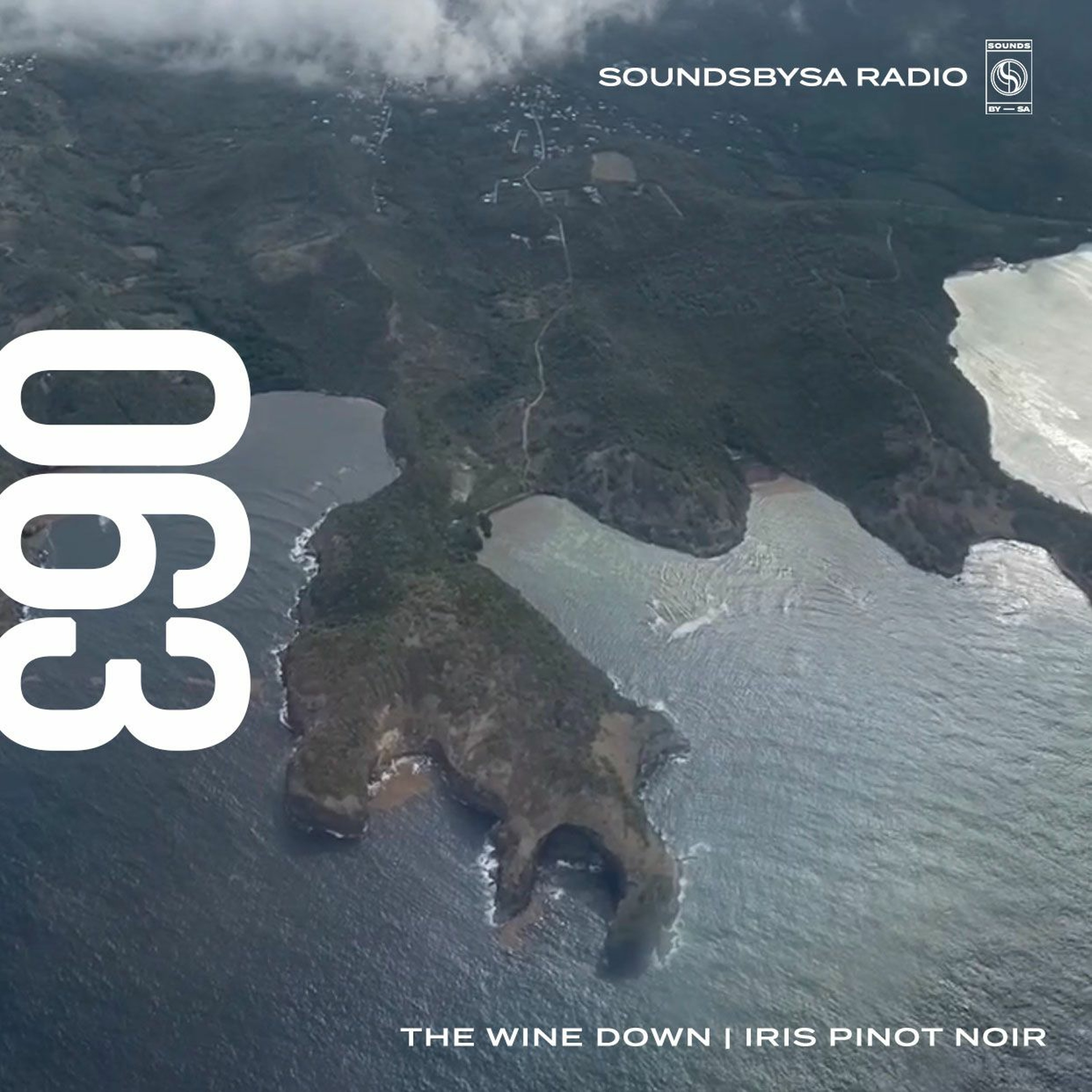 The Wine Down: Iris Pinot Noir - Ep. 063