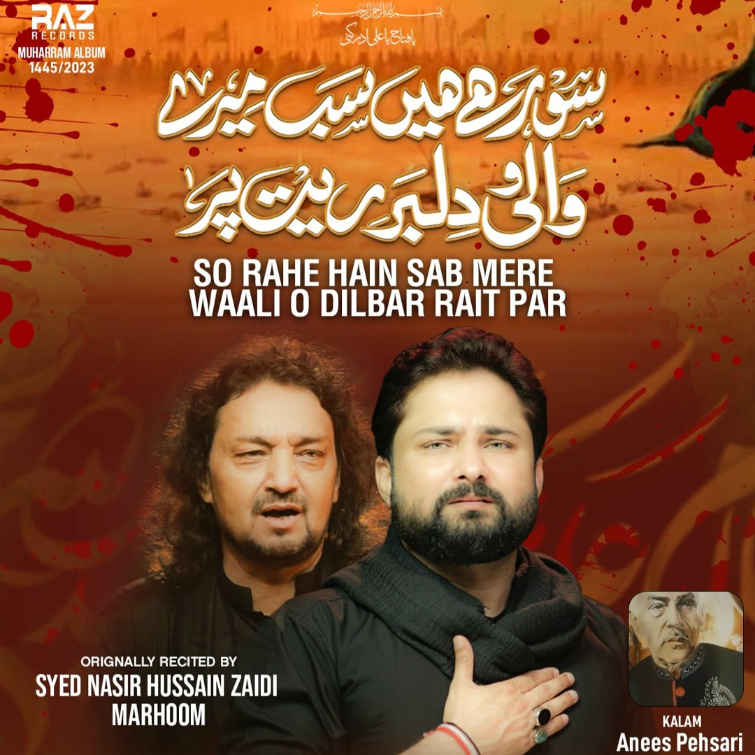 Stream So Rahe Hain Sab Mere Waali o Dilbar Rait Par -- Syed Raza Abbas ...