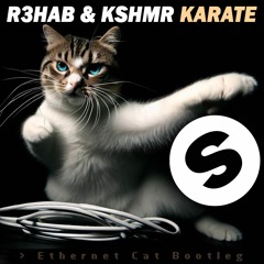 R3hab & KSHMR - Karate (Ethernet Cat Bootleg)
