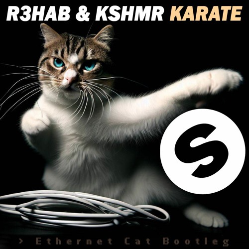 R3hab & KSHMR - Karate (Ethernet Cat Bootleg)
