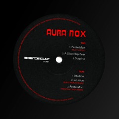 SCV01 B2 Aura Nox - Intuition (Black Merlin Remix)