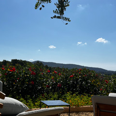 Summer Ibiza afternoon
