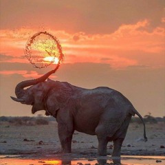 Tech House Tribal Set 5th Aug 2022