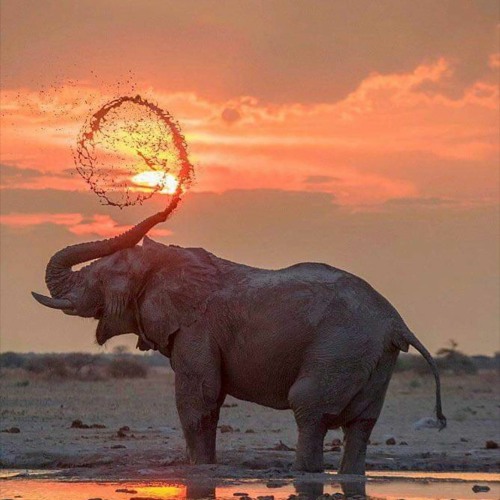 Tech House Tribal Set 5th Aug 2022