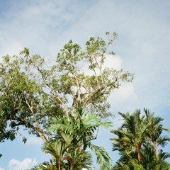 soon you'll get better - taylor swift cover