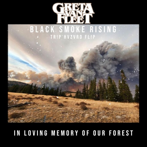 人気定番の Black - Fleet Van Greta Stream Smoke HVZVRD (TR!P Rising 洋楽
