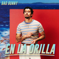 BAD BUNNY - EN LA ORILLA (Dtmf) (DJ Ortega Version)