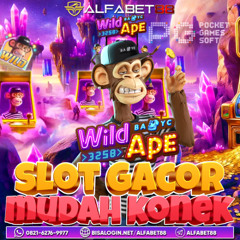 AWAS KETINGGIAN DENGAR LAGU INI !!! DJ TERBARU PALING TINGGI FULL BASS BETON 2025