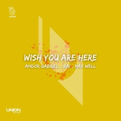 UR386 Andor Gabriel_BAI_Max Well "Wish You Are Here" *prewiev
