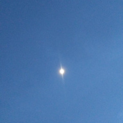 Parking-Satisfaction