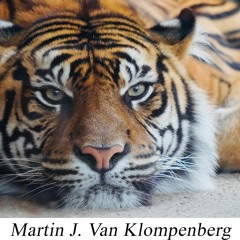 Van Klompenberg -  Apex Predator