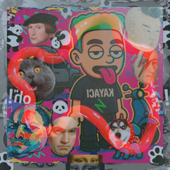 poizi - perde - (denizcankayaci imza rmx)