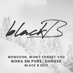 Monsoon, Won't Forget You (Black B Vocal Edit) - Nora En Pure, Shouse