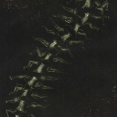 human centipede (sadbalmain x osyrys)