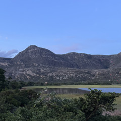 nothing changes if nothing changes