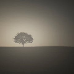 Solaris fifth impression