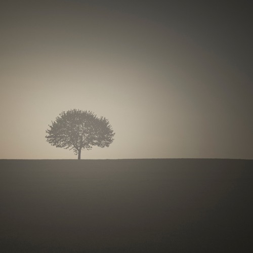 Solaris fifth impression