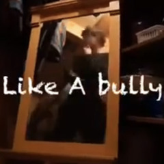 DREAM CASTER (Woody) - Like A bully