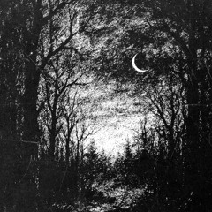 ABENDDÄMMERUNG