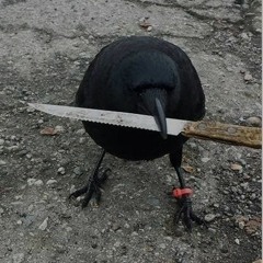 ADEK X MLODY KA - POJEBANE MIASTO