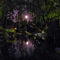 elysia troops (p. kkoreaxo & swish)