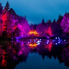 Enchanting Meadows (Free Download).WAV