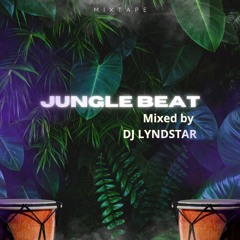 Jungle Beat By DJ LYNDSTAR #Mixtape #2023 #November
