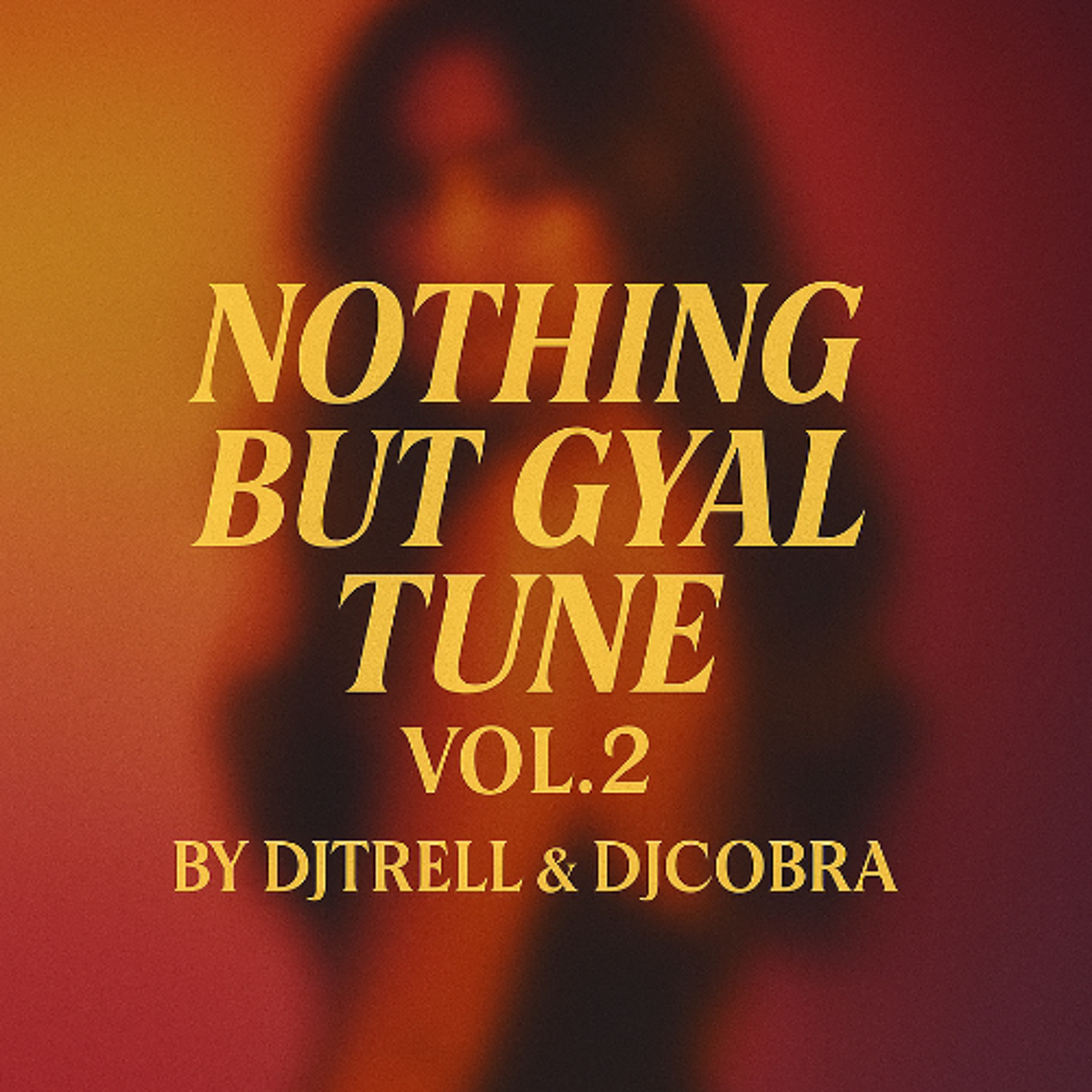 Nothing But Gyal Tune Vol.2 - DjTrell & DjCobra (Teejay , Skillibeng , Vybz Kartel , Shenseea , Aidonia , Ayetian)