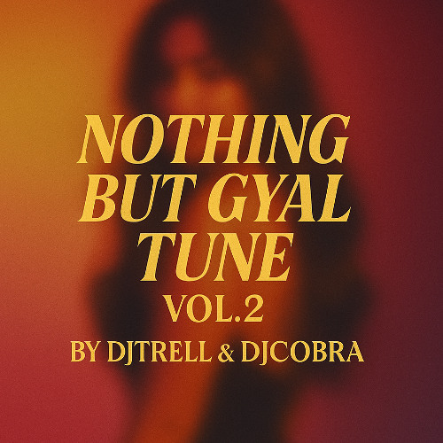 Nothing But Gyal Tune Vol.2 - DjTrell & DjCobra (Teejay , Skillibeng , Vybz Kartel , Shenseea , Aidonia , Ayetian)