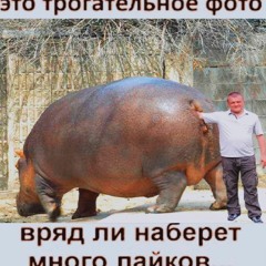 Kanash & Tupa Kiso4ka - Чудная Причудная Долина